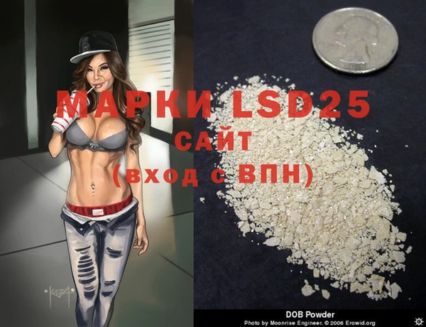 ECSTASY Алзамай