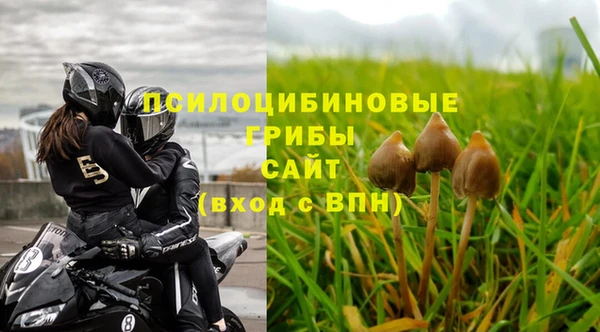 a pvp Абаза