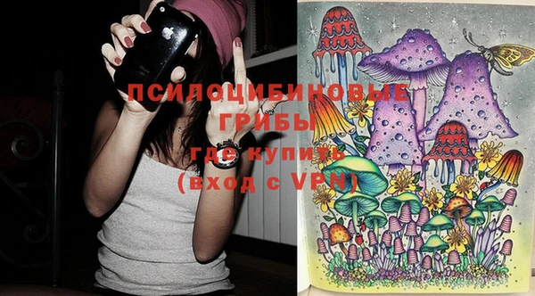 стаф Алексеевка