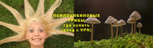 a pvp Абаза